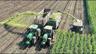 Big Corn Silage Smržice 2020  1/3  - John Deere