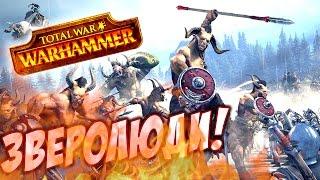 Total War Warhammer - ЗВЕРОЛЮДЫ! ОБЗОР И ПРОХОЖДЕНИЕ!