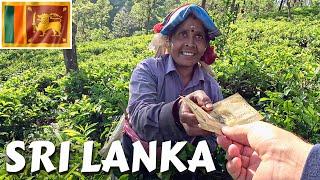 Real Souls Deep Inside Tea Plantations In Sri Lanka 