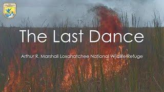 The Last Dance Fire: Loxahatchee National Wildlife Refuge