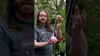 How to Play Happy Birthday on Otamatone