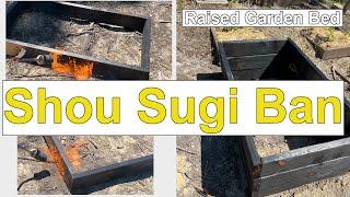 Shou Sugi Ban Raised Bed Experiment: Preventing Rot