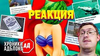 ГЛУБИННЫЕ ХРОНИКИ АДБЛОКА | Сыендук | Реакция Гидры