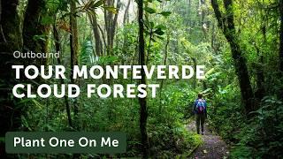 Tour MONTEVERDE CLOUD FOREST in Costa Rica — Ep. 407