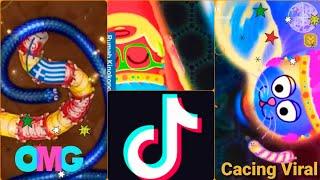 Tik tok Cacing Wormszone, Wormate.io dan Little Big Snake Cacing Viral Tiktok