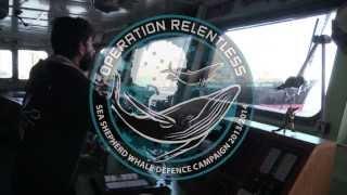 The Timbers - Shepherd of the Seas - Sea Shepherd Edit