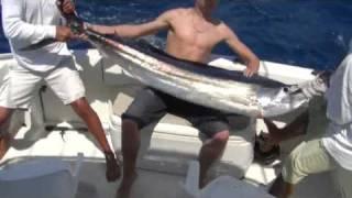 4tuna team fishing for billfish