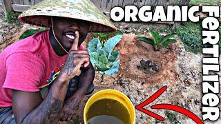 How to Make Free Organic Fertilizer