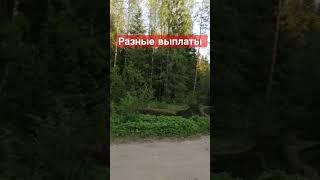 С нами 58 стран.