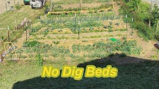 Touring the Front Garden / Aphid Farm