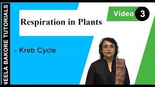 Respiration in Plants | NEET | Kreb Cycle | Neela Bakore Tutorials