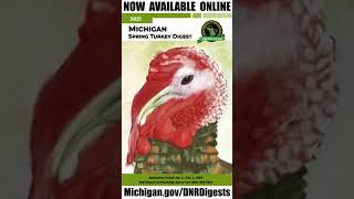 2021 Michigan Spring Turkey Hunting Digest Now Available Online