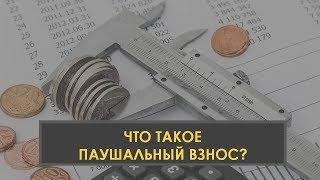 Что такое паушальный взнос | паушальный взнос | термины во франчайзинге | как создать франшизу