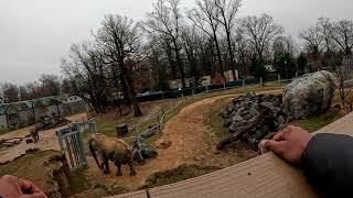 GoPro POV Adventure: A Day at the Baltimore Zoo | Animal Encounters Elephant Kingdom