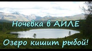 Туда, где горы! Алтай. Часть 6. Улаган, Киделю, аилы.