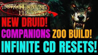 NEW S1 INFINITE DRUID COMPANIONS RESET BUILD!!!