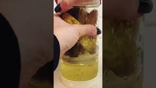 Viral PICKLE Jar TikTok made me buy!