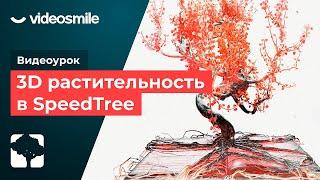 Создание 3D-растительности в программе SpeedTree