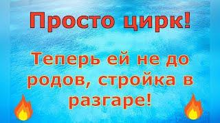 Деревенский дневник очень многодетной мамы \ Цирк! Теперь ей не до родов, стройка в разгаре! Обзор