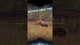 MONSTER Big Rack Great One Whitetail with the Longbow!  Call of the Wild #shorts