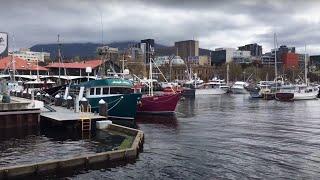 A little stroll around the historic Constitution Dock, Hobart