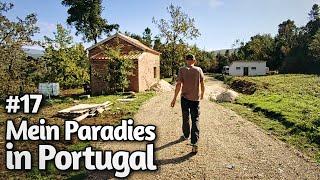 Ich erschaffe mir mein Paradies in Portugal - Neue Wege und Licht | Wild Spirit Land Vlog #17