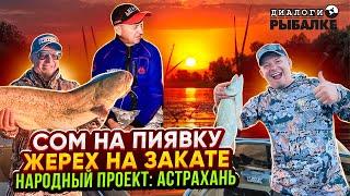 СОМ на ПИЯВКУ / ЖЕРЕХ на ЗАКАТЕ / Олег Сарана