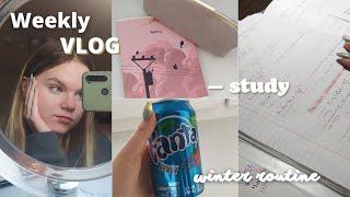 Недельный влог | Weekly Vlog | study | winter routine