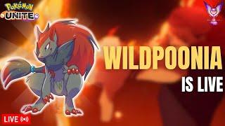 Aajao Rank Push Karte Hai  l WildPoonia is Live l #pokemonunite