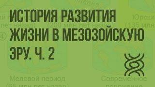 История развития жизни в мезозойскую эру. Ч. 2. Видеоурок по биологии 11 класс