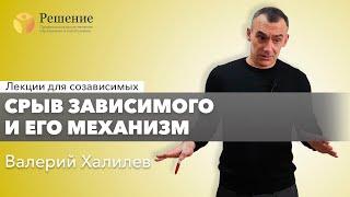  Срыв зависимого и его механизм | Лекция для созависимых Валерия Халилева