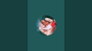 Shuvo Ngp is live!স্কেটিং #skating