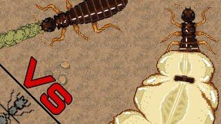 АТАКА ТЕРМИТОВ | Pocket Ants: Симулятор Колонии