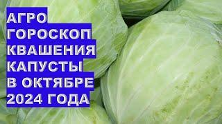 Когда заквасить вкусную капусту в октябре 2024?Agrohoroscope for pickling cabbage in October 2024