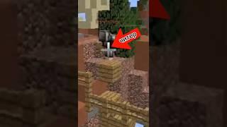 cheater now #vimemc #bedwars #skywars #admin #donate #minecraft #сервер #админ