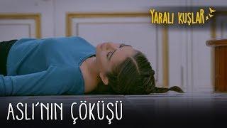 Aslı'nın çöküşü | Yaralı Kuşlar 165. Bölüm