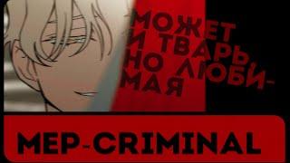 MEP - Criminal