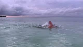 THE WORLD’S BEST OPEN WATER SWIMMING TECHNIQUE!!!