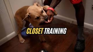 Puppy Closet Training "No Diddy!"