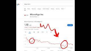 MicroAlgo, mlgo stock analysis buy or sell