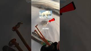Skier Tamed a Dire Wolf