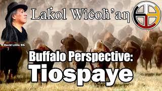 David Little Elk - Buffalo Perspective Tiospaye #spirituality #peace #love #tatanka #family