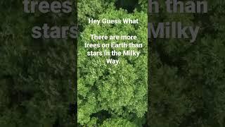 Hey Guess What #facts #space #trees #interestingfacts