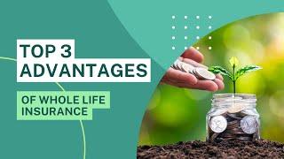 Top 3 Advantages for Whole Life Insurance | ANGyL Finance