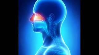 Nasal Passage Treatment | Stop Running Nose Binaural Beats Pure Music | Brainwave Entertainment Zone