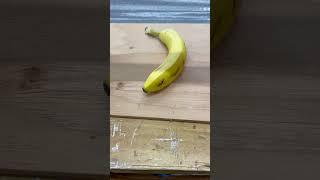 If You Love Bananas Close Your Eyes