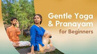 Easy Yoga Asanas & Pranayama | 30 Minutes | Hatha Asanas & Anulom Vilom Pranayama