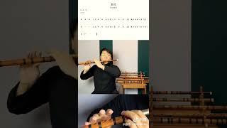 Sáo Túc "Phồn Hoa I繁花 l( OST Tam Sinh Tam Thế Thập Lý Đào Hoa)" #bambooflute#douyin #youtubeshorts