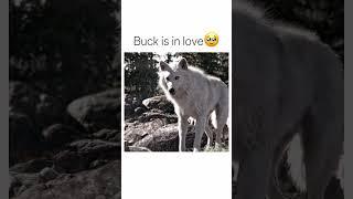 He is in love ️
