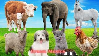 Lively Farm World: Cow, Elephant, Horse, Sheep, Dog, Cat, Chicken - Animal Sounds